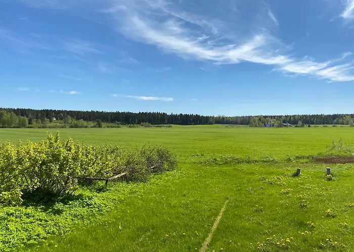 Cozy With Sauna Апартаменты Haapavesi